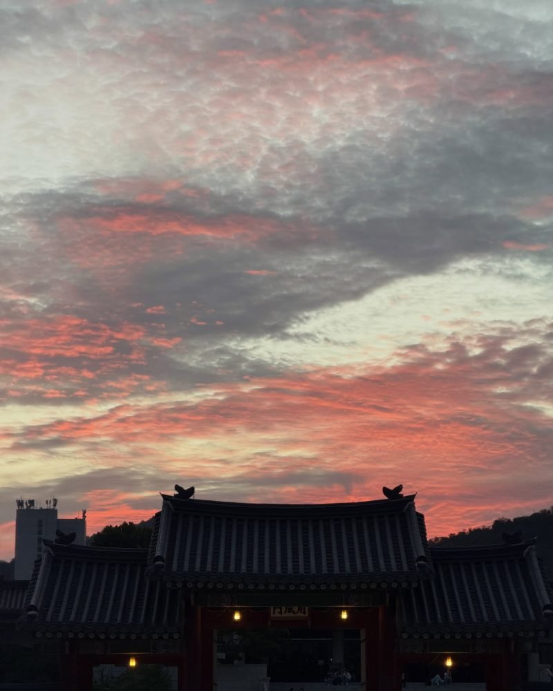The light going pink over the rooftops.
