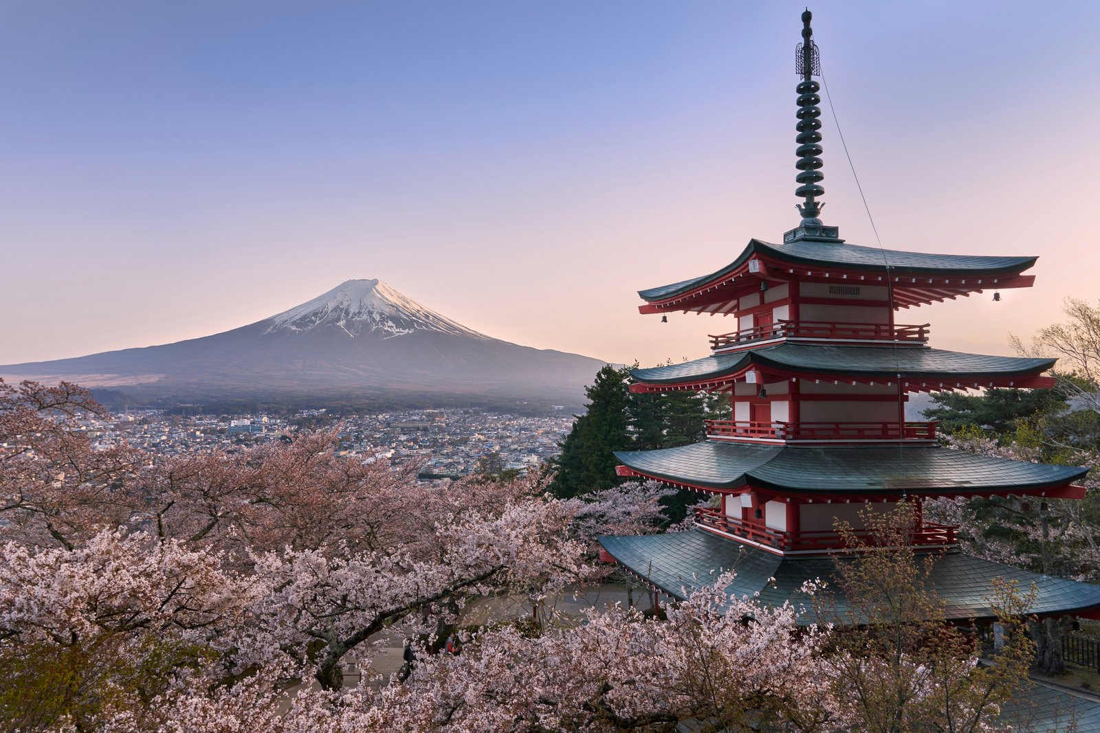 Japan Experience (10 Nights / 11 Days) — Tokyo to Osaka